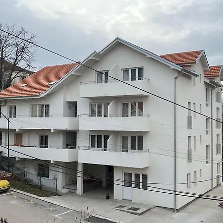 Milutinn-tresnja ソコバニャ