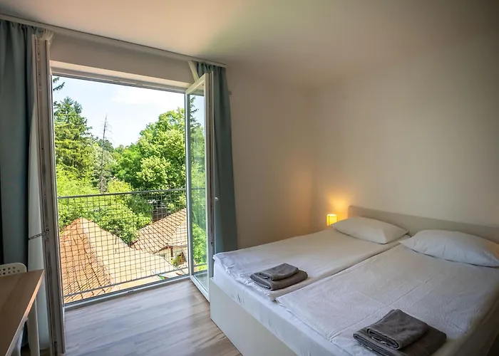 Milutinn-tresnja 소코 반자