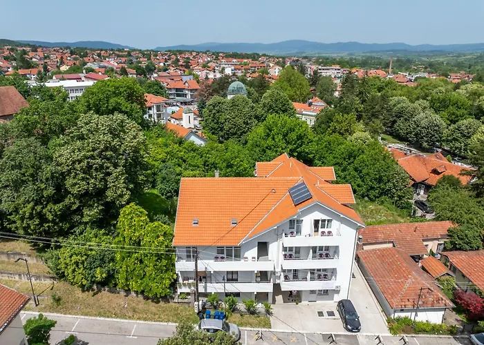 Milutinn-tresnja 소코 반자